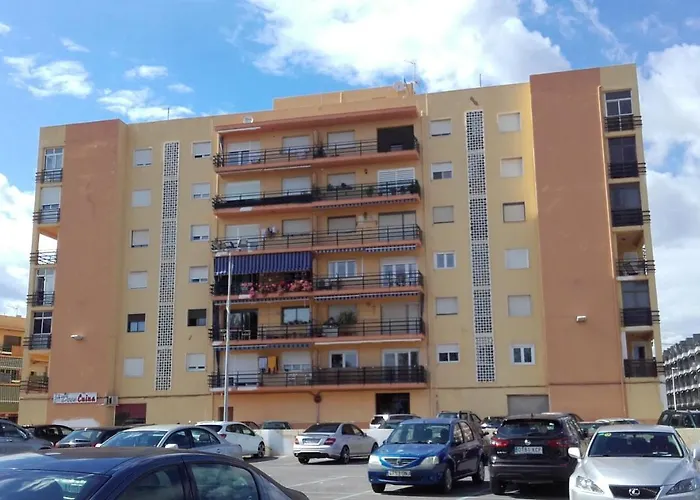 Centrico Labradores 15